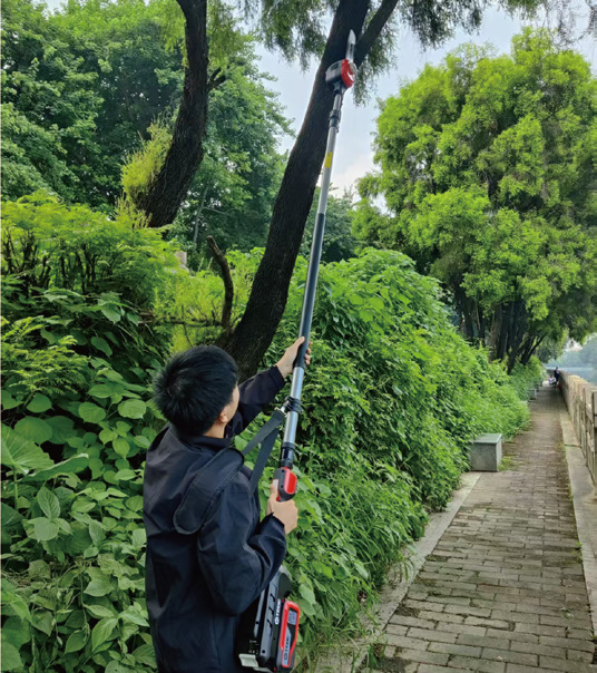 TEDE锂电高枝锯